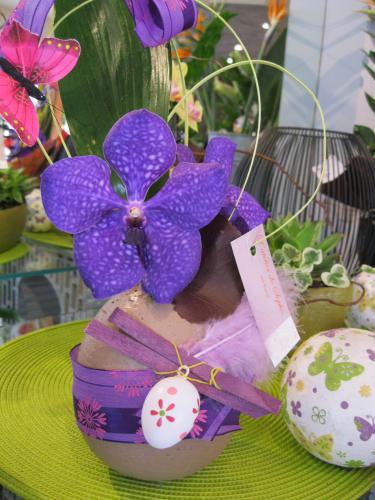 Orchidée violette dans un pot habillé de ruban pour Pâques